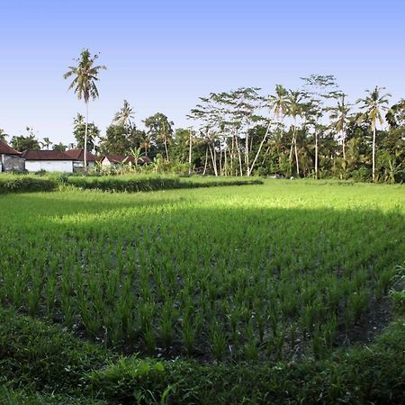 Bali Sunshine Ubud Экстерьер фото